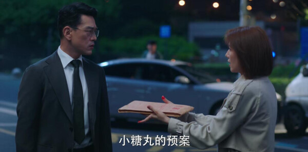 完美伴侣第1集剧照